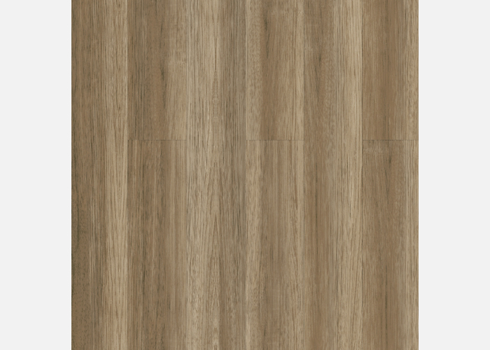 Lorem ipsum dolor sit amet, consectetur adipiscing elit